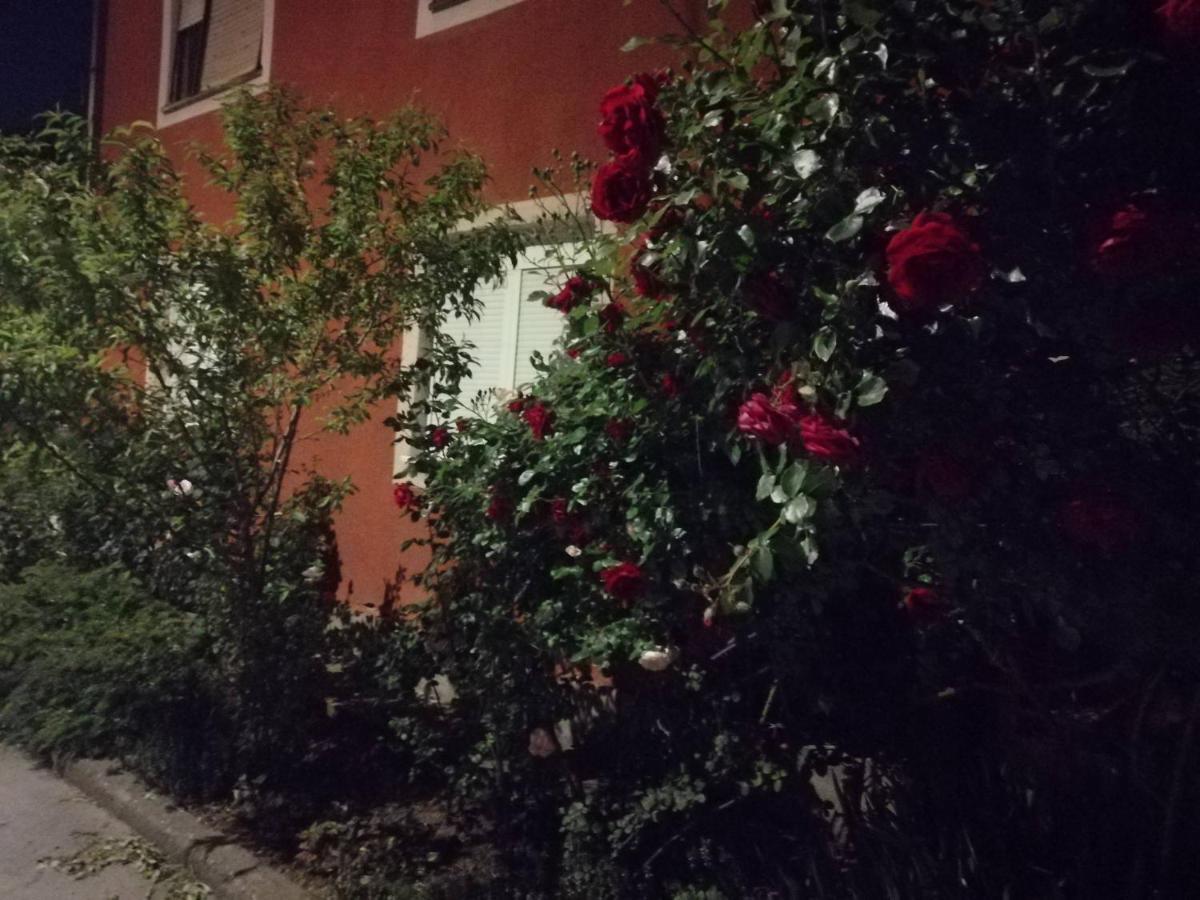 Apartman Nana Jagodina Eksteriør bilde