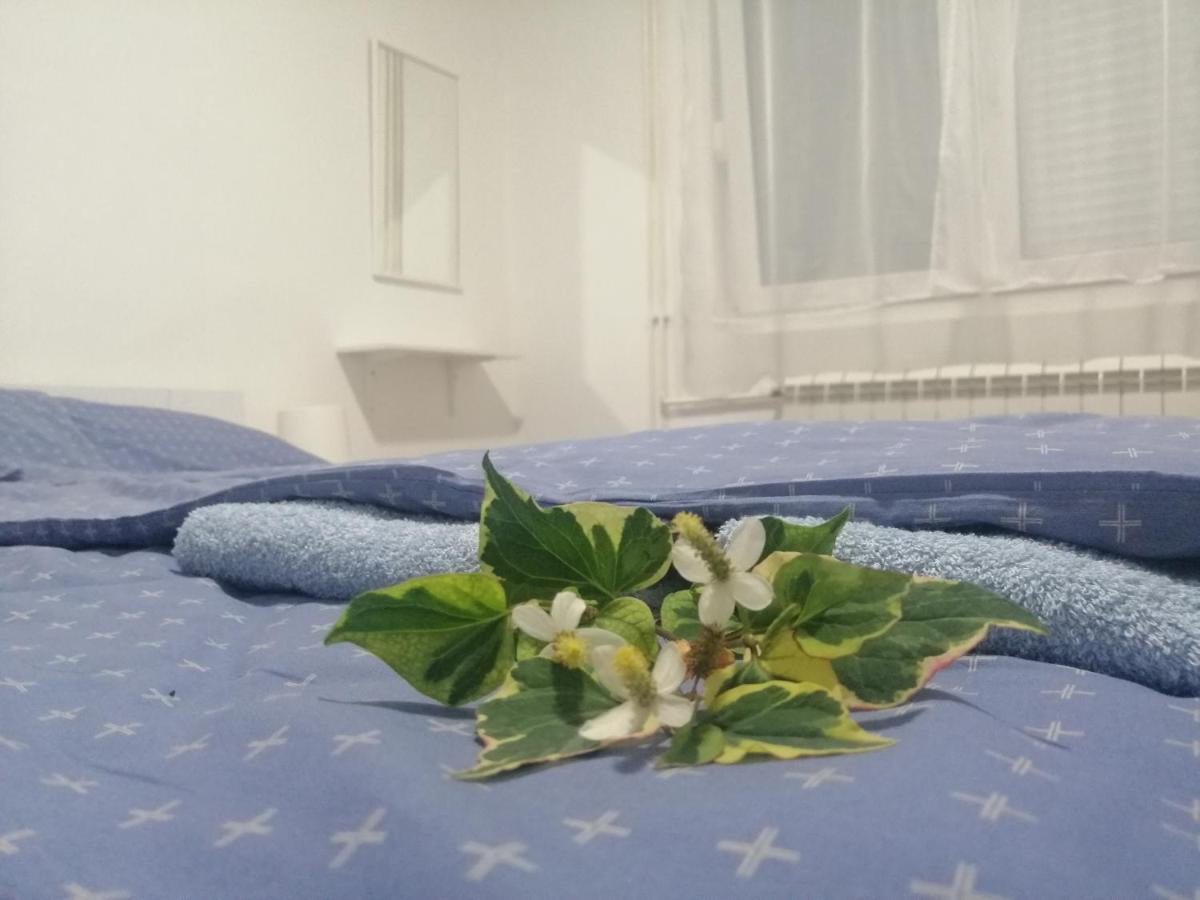 Apartman Nana Jagodina Eksteriør bilde