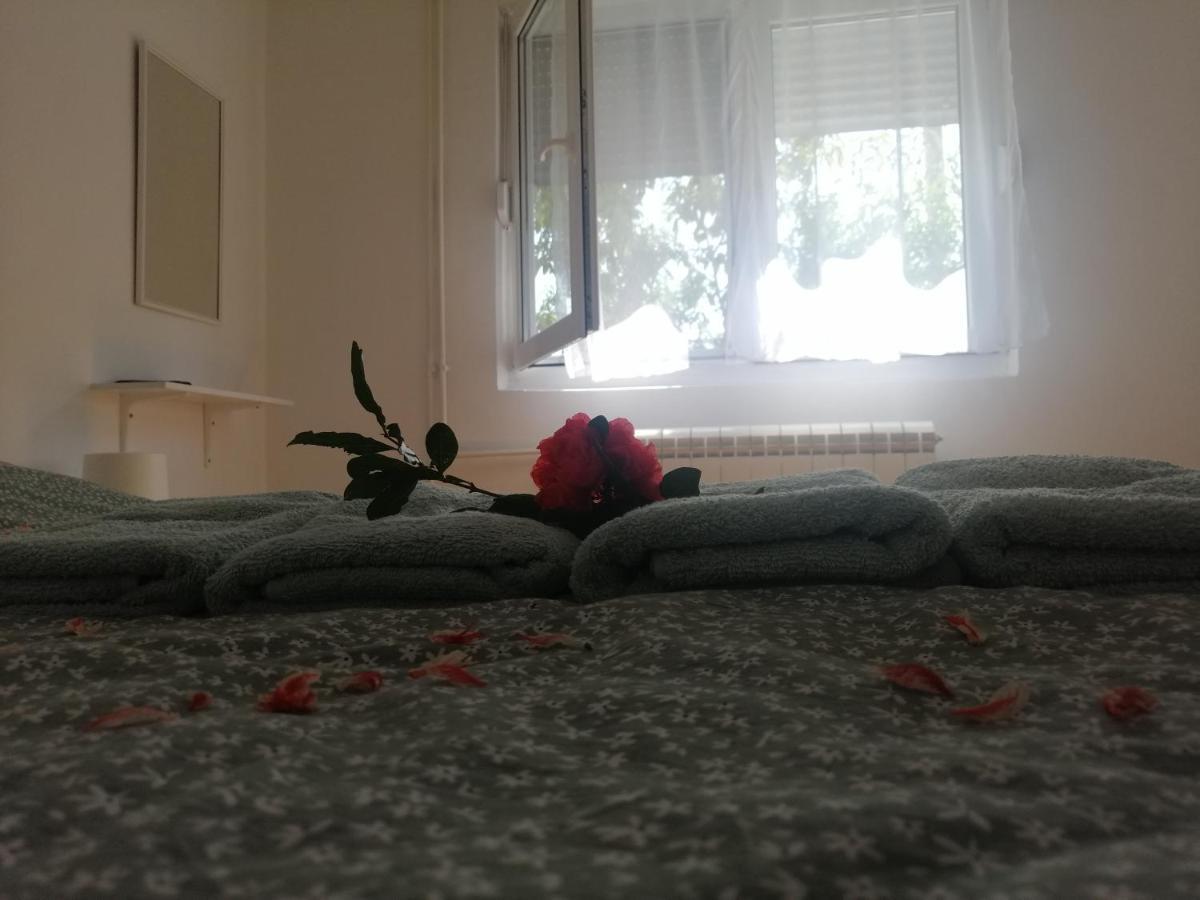 Apartman Nana Jagodina Eksteriør bilde