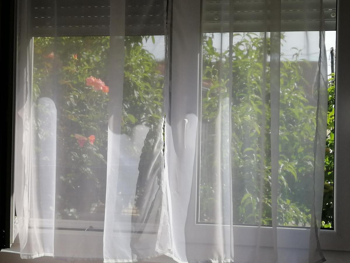 Apartman Nana Jagodina Eksteriør bilde
